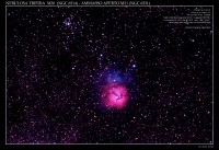 /album/galleria-foto-homepage/trifida-m20-m21-jpg1/